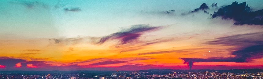 龙海茶虫网_龙海品茶